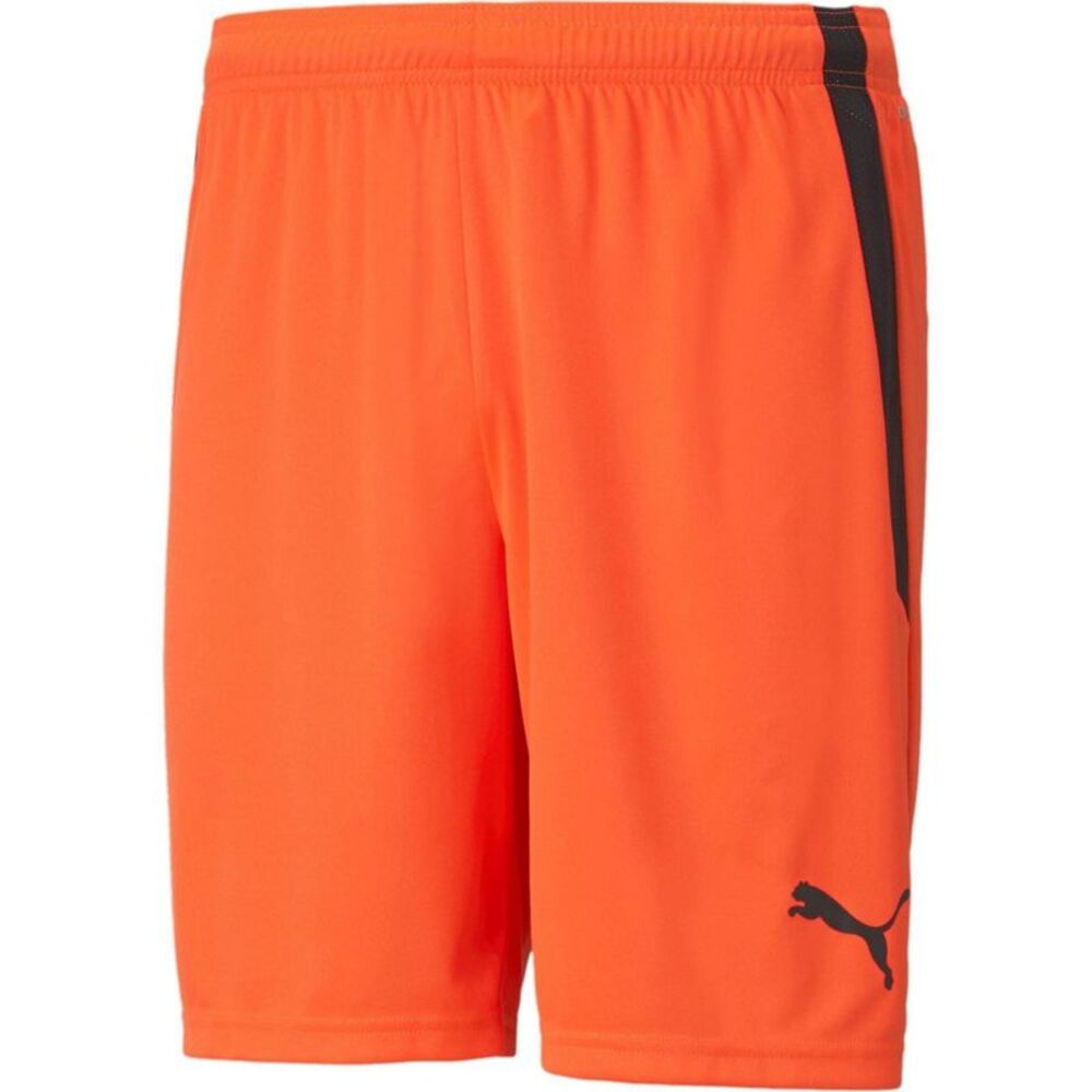 Puma Mens TeamLIGA Side Stripe Football Shorts / Red/Black
